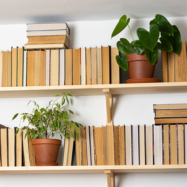 Books on shelves with potted plants placed in between